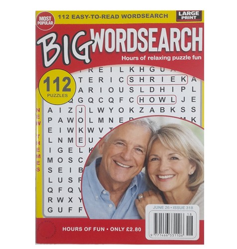 Big wordsearch puzzle - puzzle, book-
